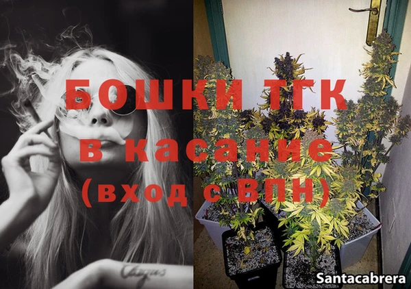 не бодяженный Горно-Алтайск