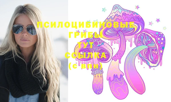 гашик Тихвин