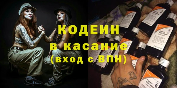 гашик Тихвин