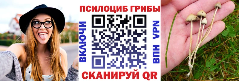Галлюциногенные грибы прущие грибы  Заполярный 